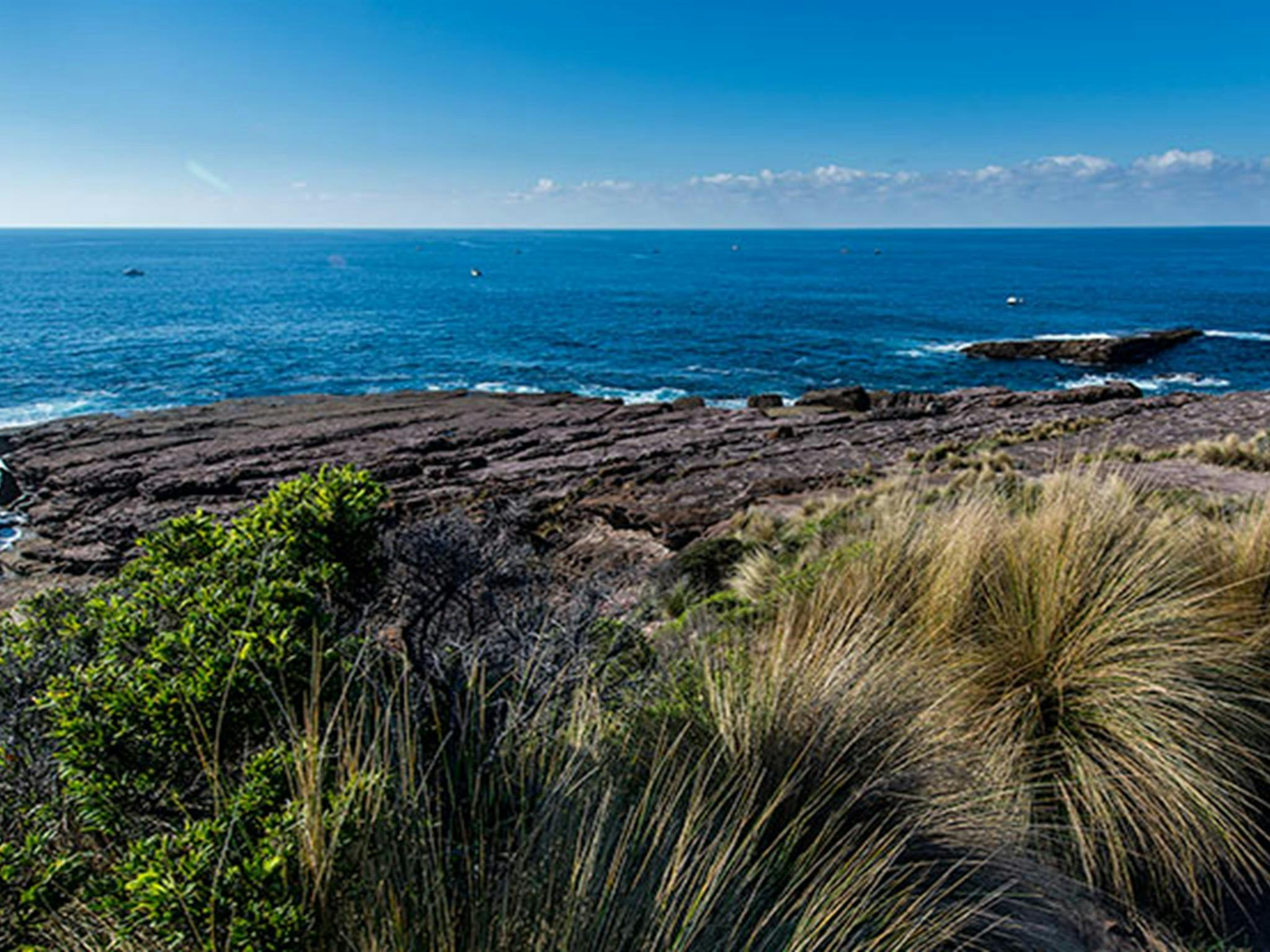Green Cape lookout, Beowa National Park. Photo: John Spencer
