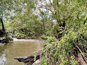 Tranquil creek
