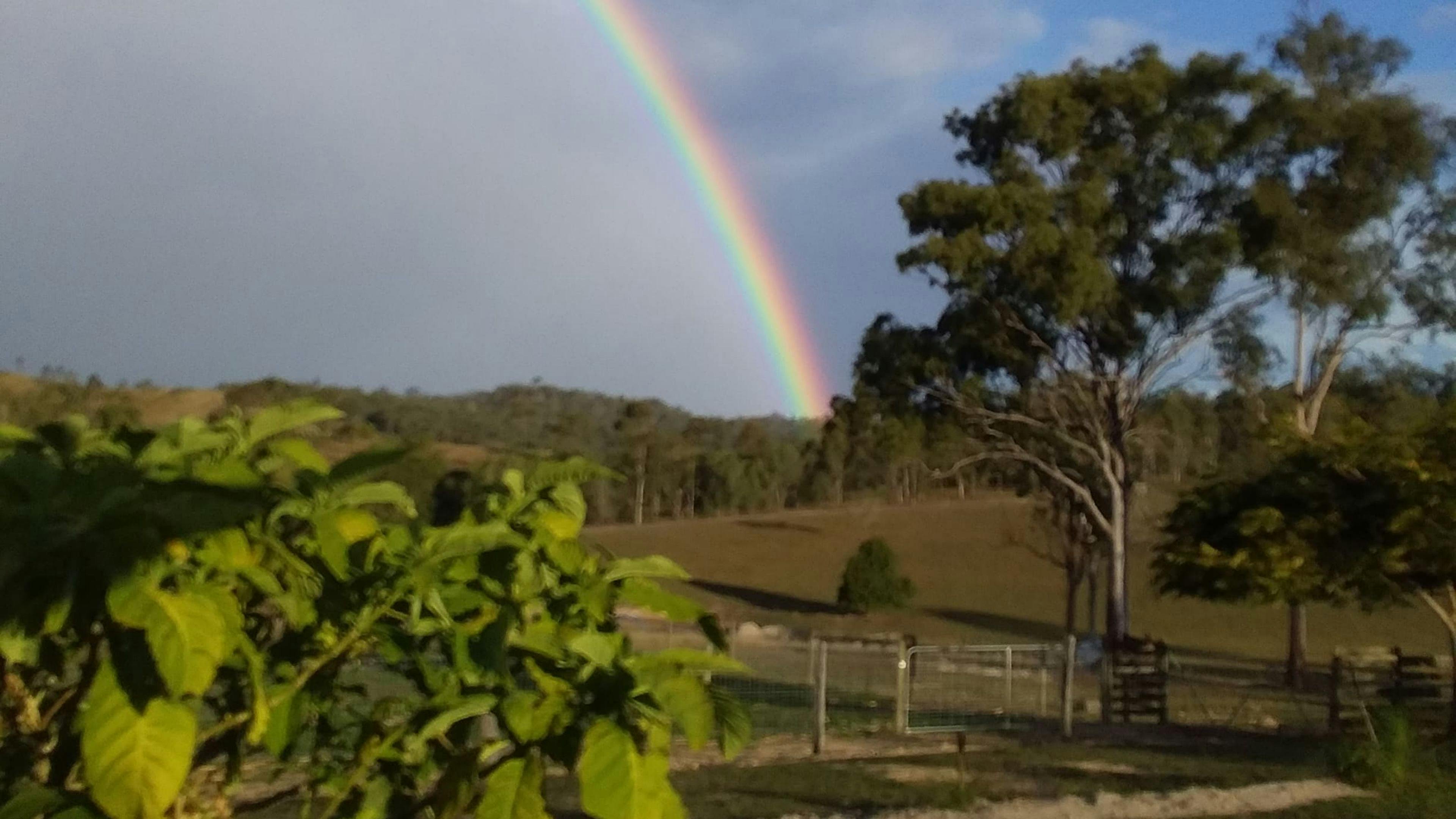 Greenacres