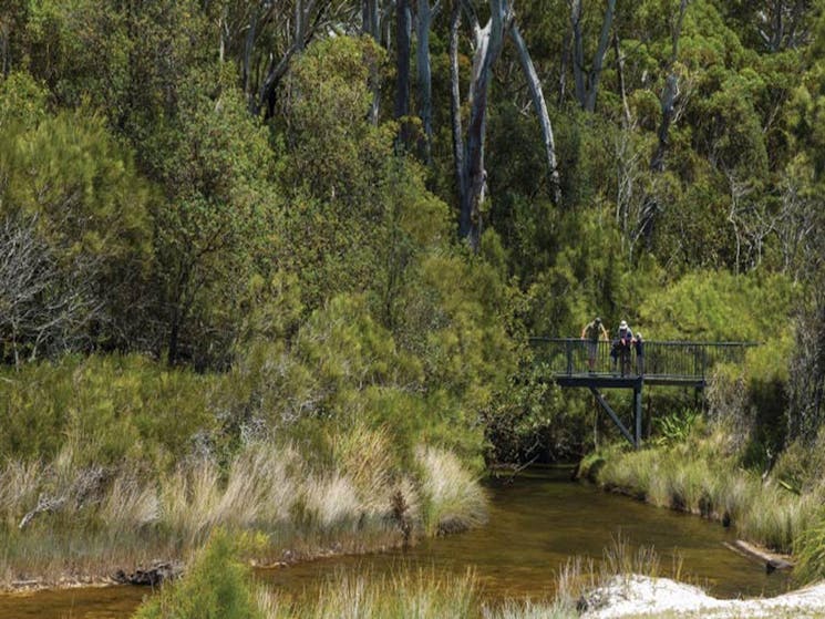 People stand on a boardwalk above a creek, Jervis Bay National Park. Photo: David Finnegan &copy;