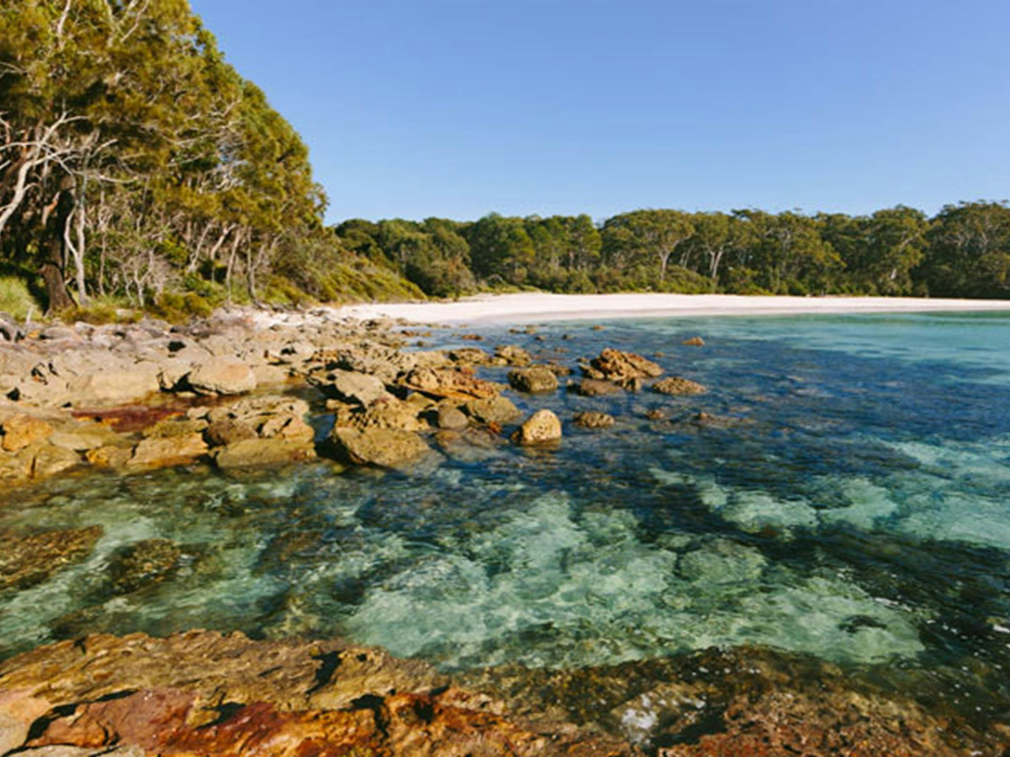Felsen an der Küste bei Greenfield Beach, Jervis Bay Nationalpark. Foto: David Finnegan ©