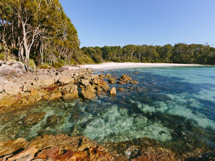 Rocks on the coastline at Greenfield Beach, Jervis Bay National Park. Photo: David Finnegan &copy;