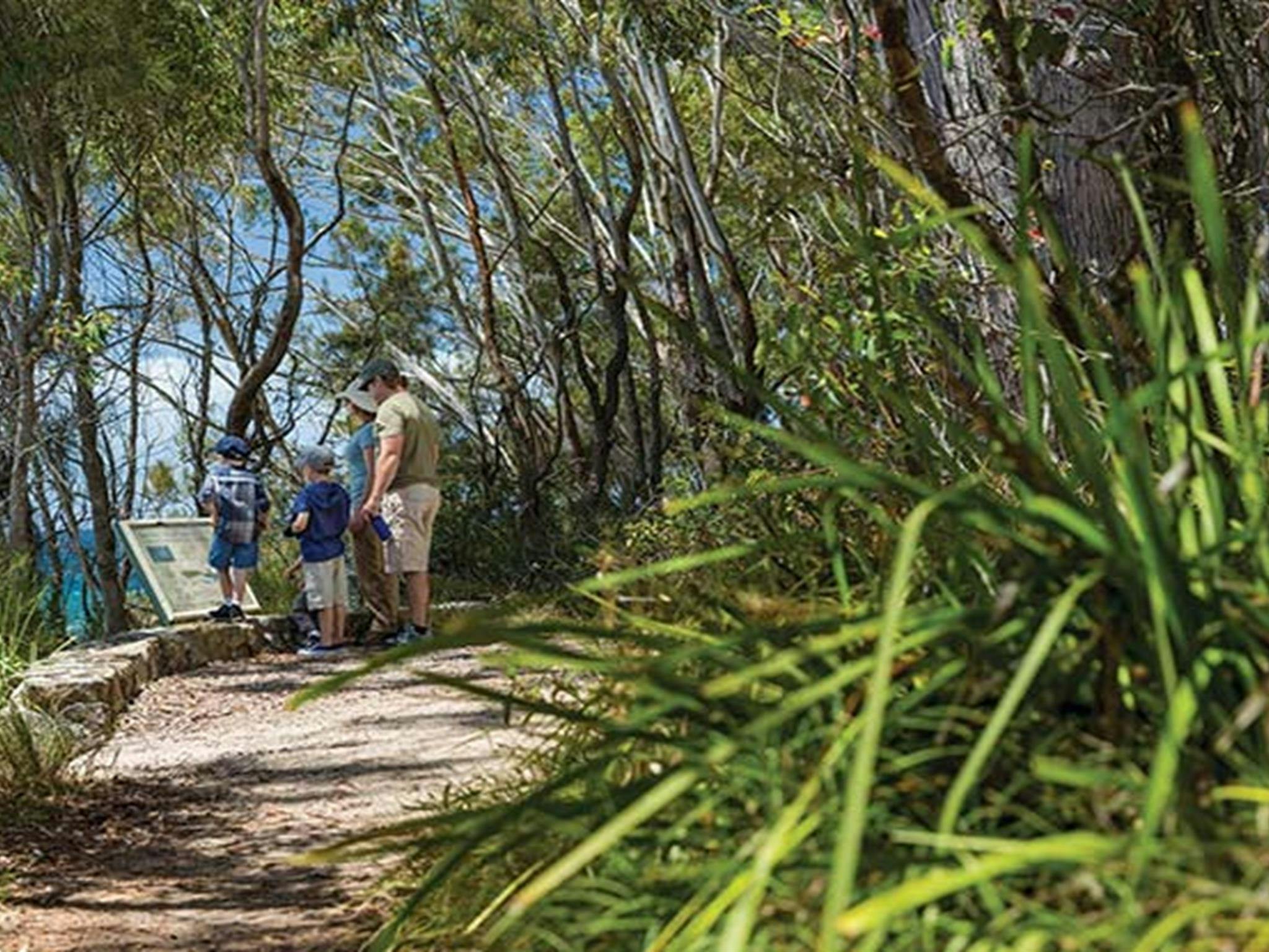 在杰维斯湾国家公园的斯克里布利桉树步道旁，一家人正在阅读路标。照片：大卫·芬尼根