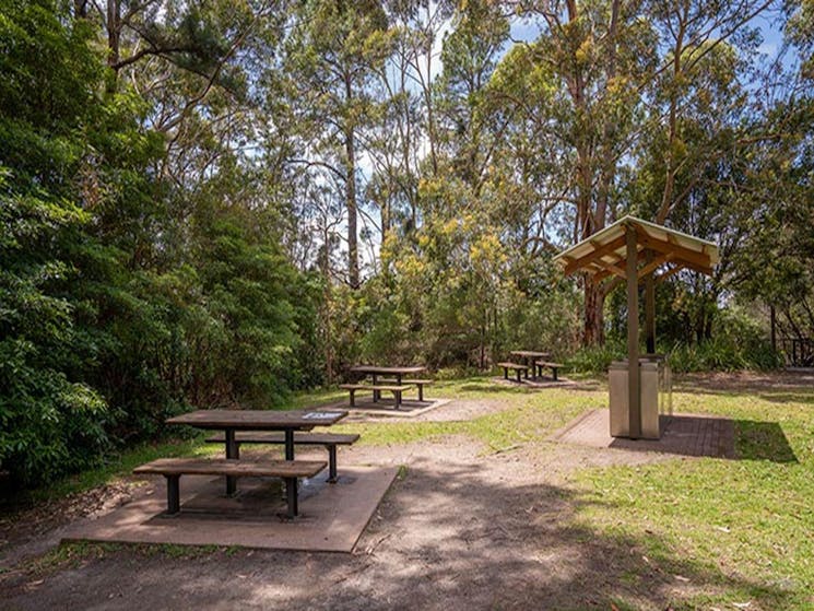 Barbecue facilities and picnic tables at Greenfield Beach, Jervis Bay National Park. Photo credit: