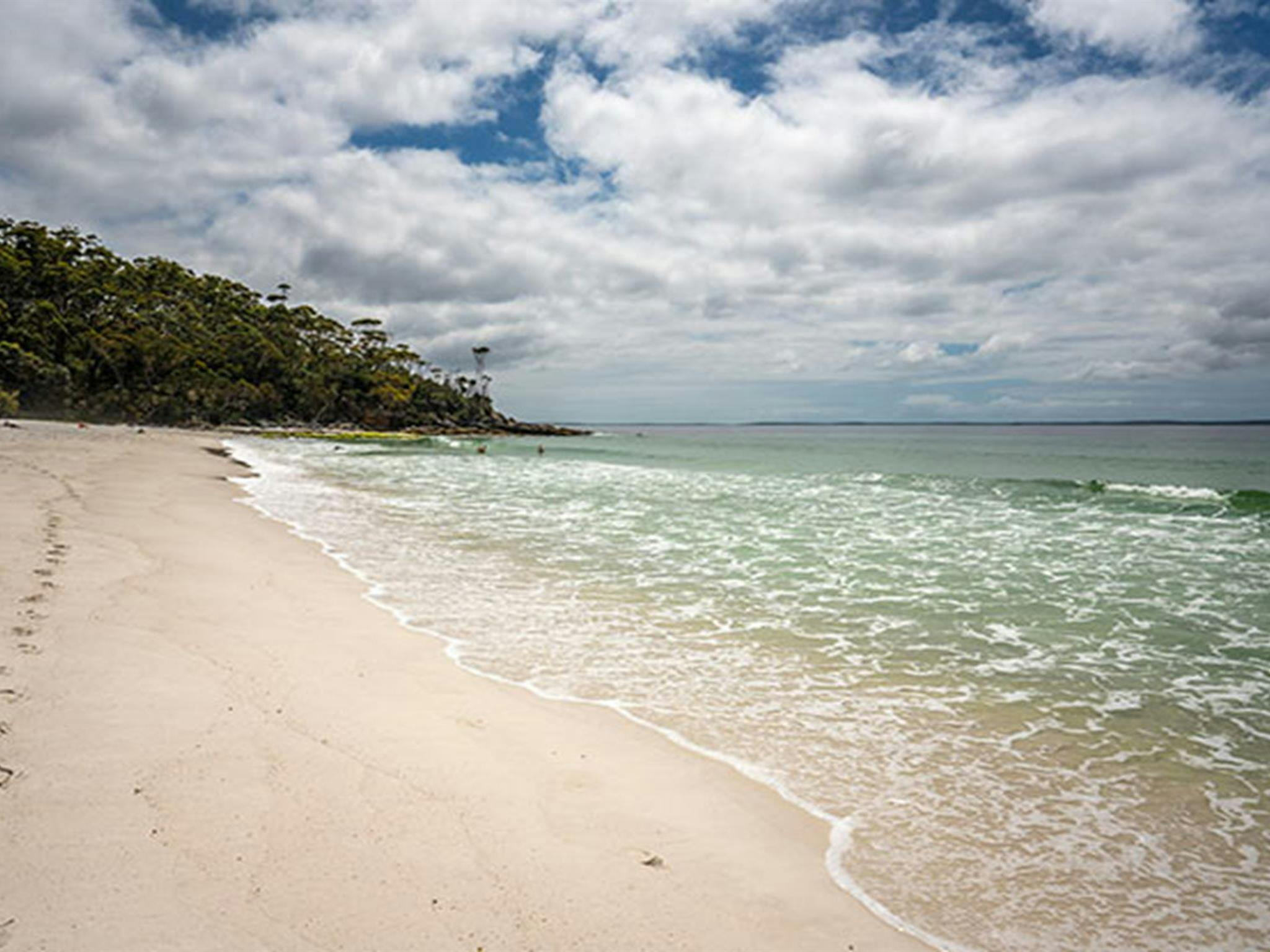 The white sands and clear waters of Greenfield Beach in Jervis Bay National Park. Photo: John