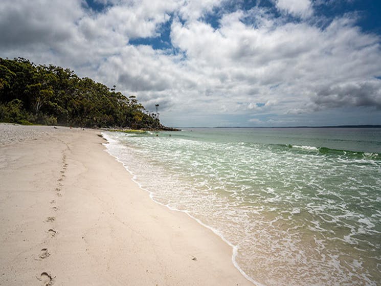 The white sands and clear waters of Greenfield Beach in Jervis Bay National Park. Photo: John