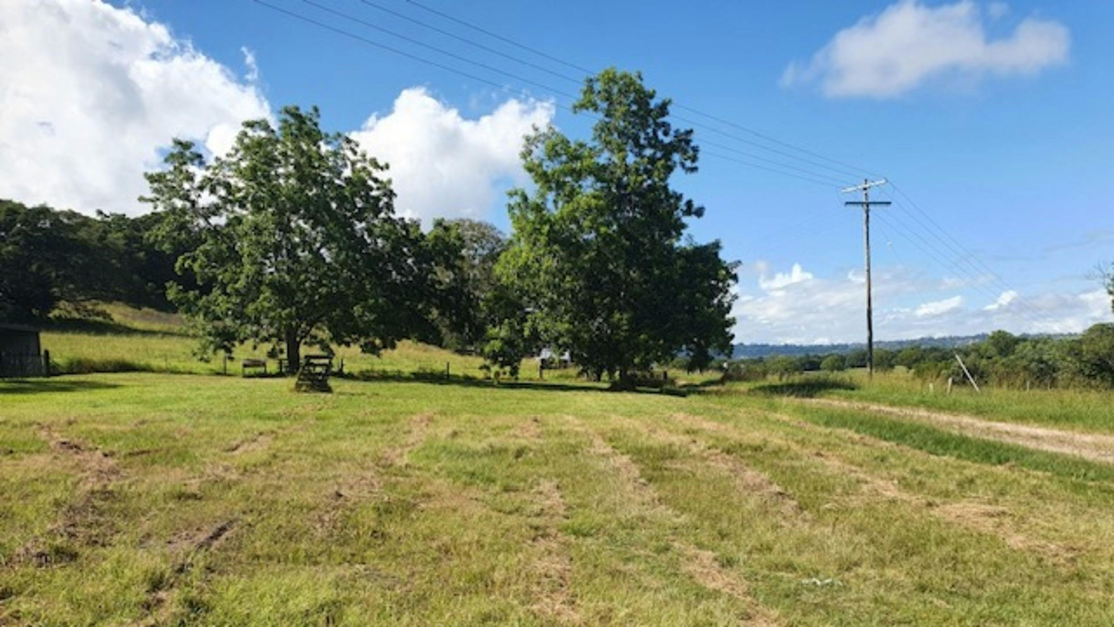 Greengates - Off Leash Dog-Friendly Camping | Campfires | Northern Rivers