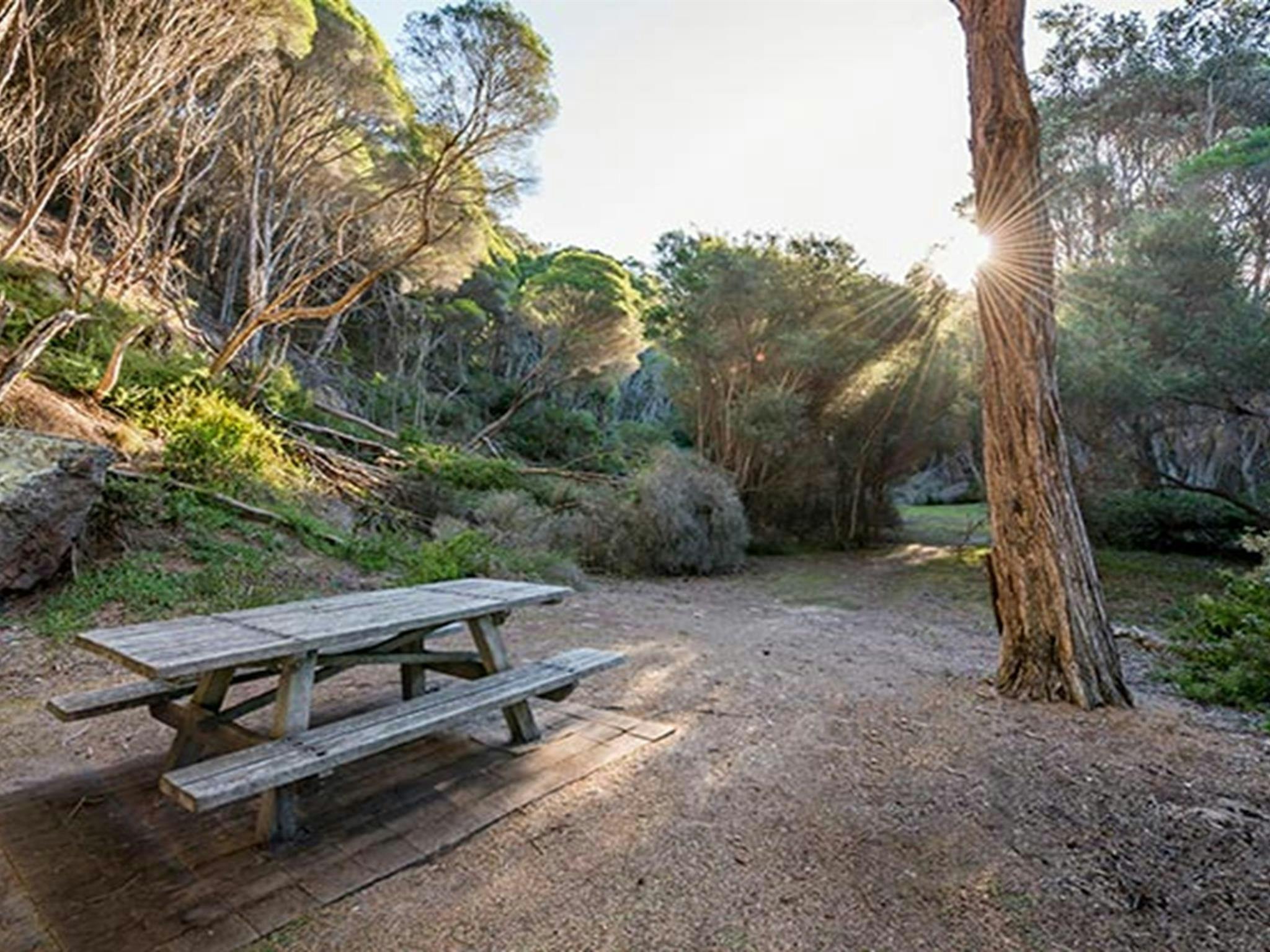 Greenglade picnic area, Nadgee Nature Reserve. Photo: John Spencer