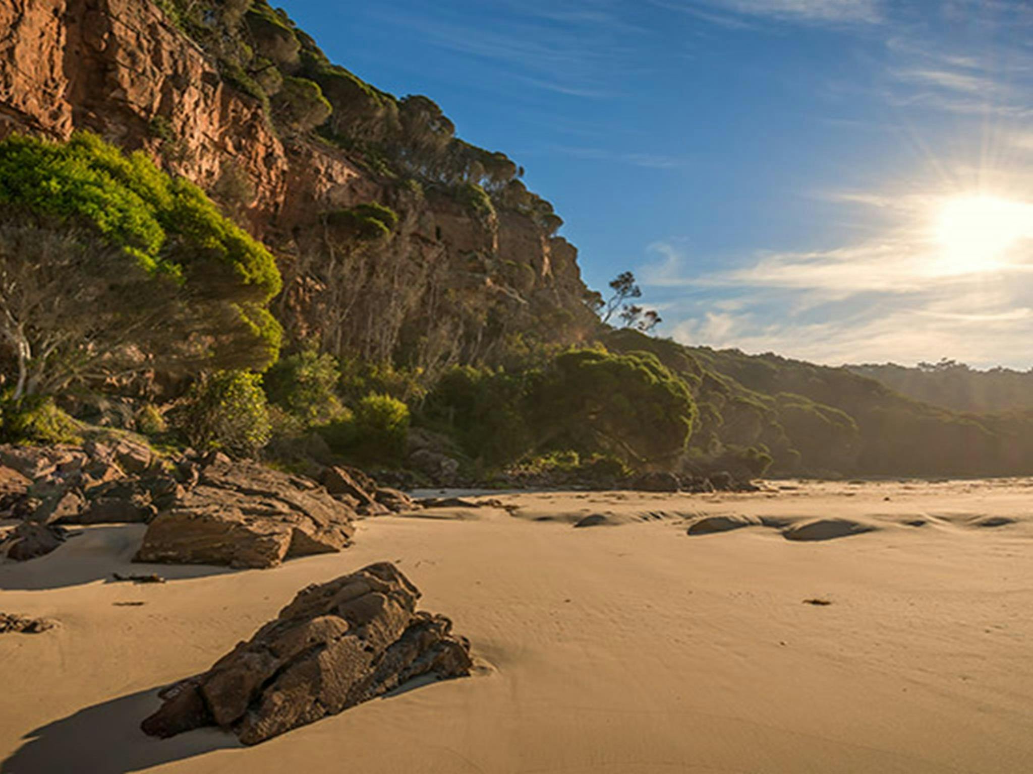 Greenglade picnic area, Nadgee Nature Reserve. Photo: John Spencer