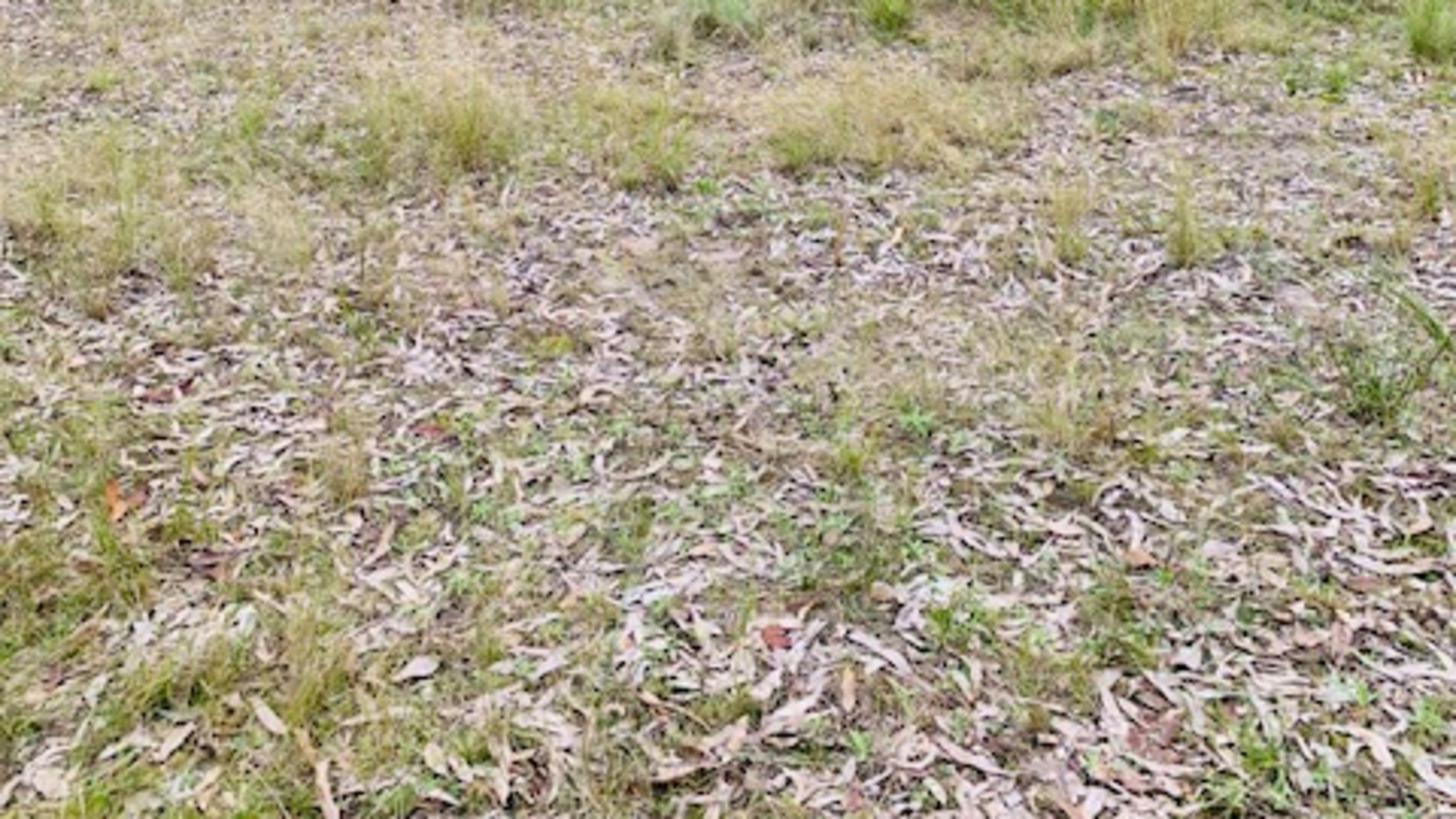 Greenridge Hunter Valley