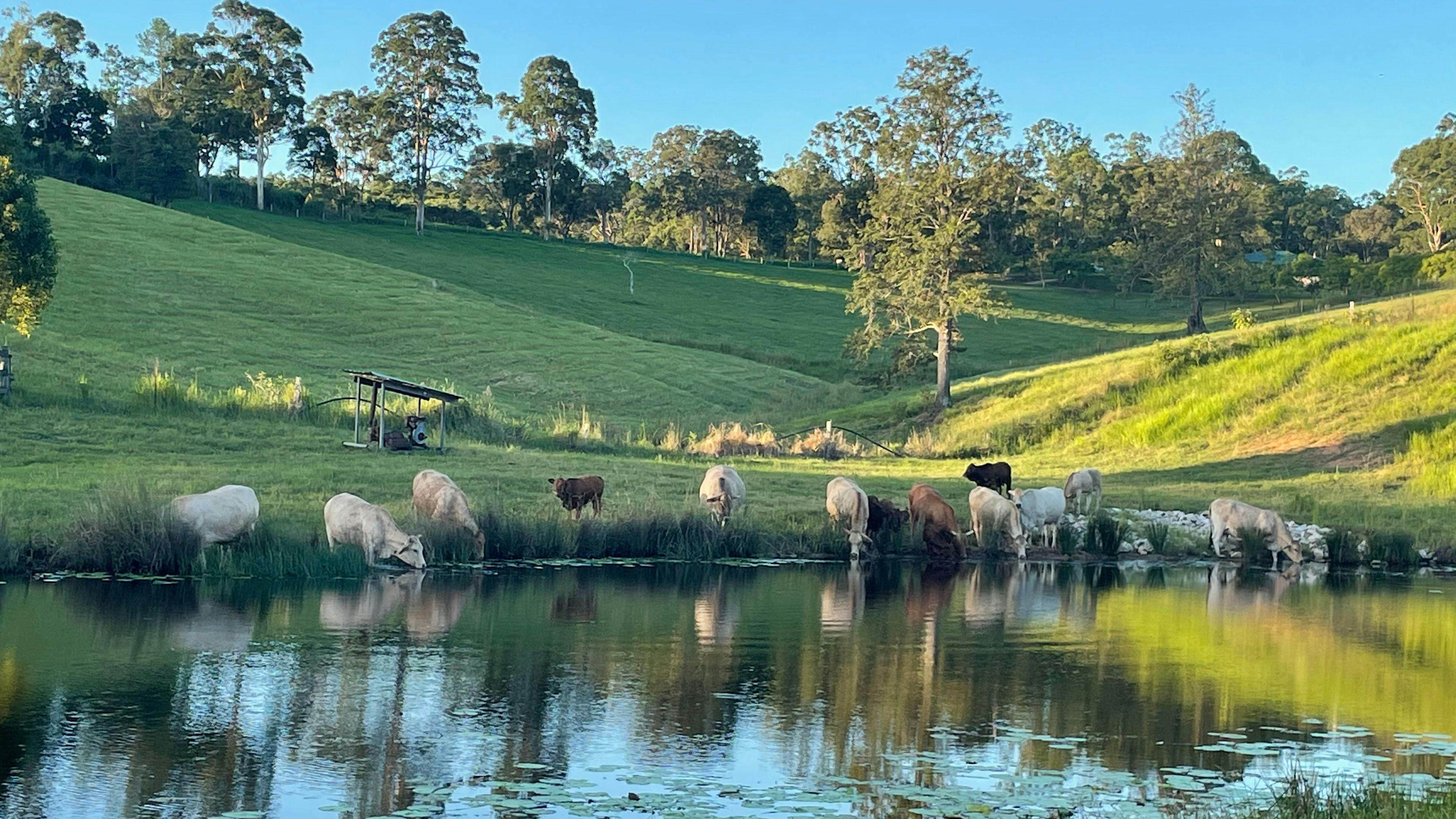 Greenview Camping