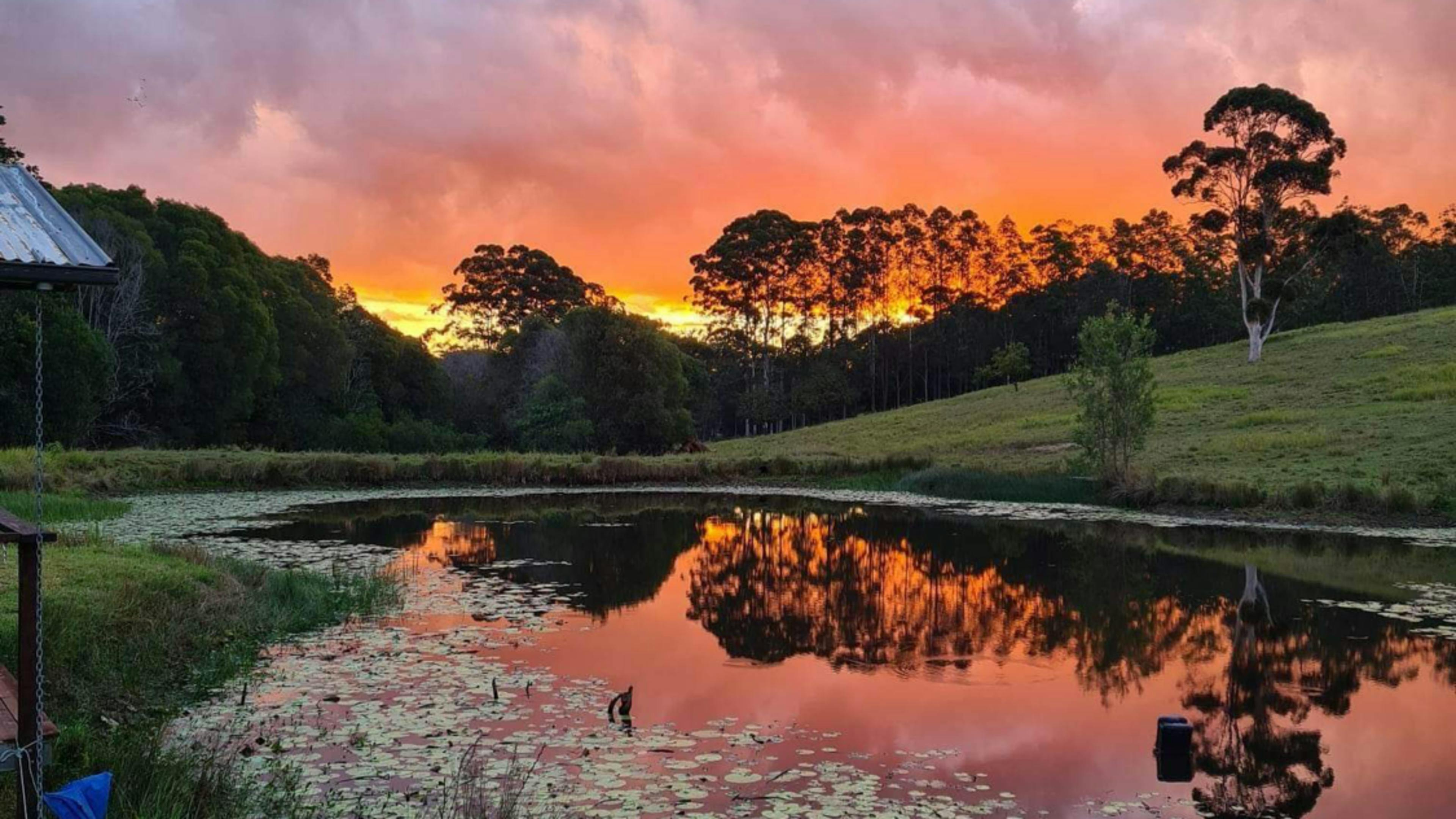 Greenview Camping