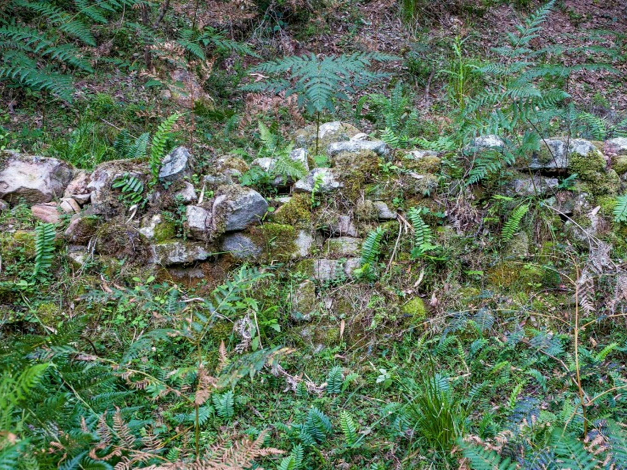 Remnants of an old house, barn, and rock wall fence can still be seen at Griffins Farm campground in