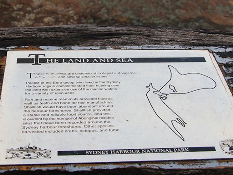 Sign with pictures explaining the meaning of Aboriginal engravings at Grotto Point. Photo: