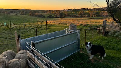 Corella Farm