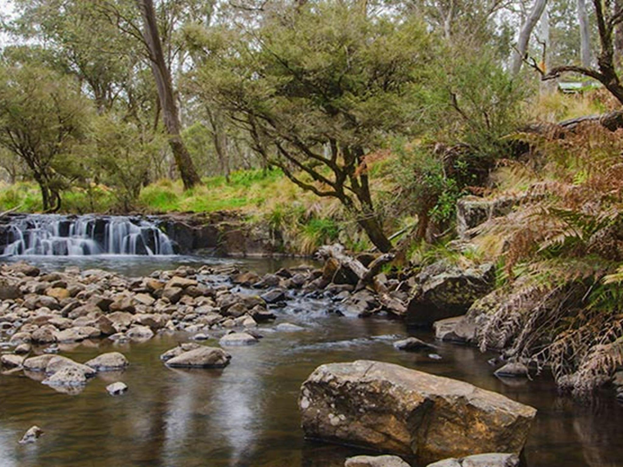 Gummi Falls 캠프장, Barrington Tops State Conservation Area. 사진: 존 스펜서/NSW 정부