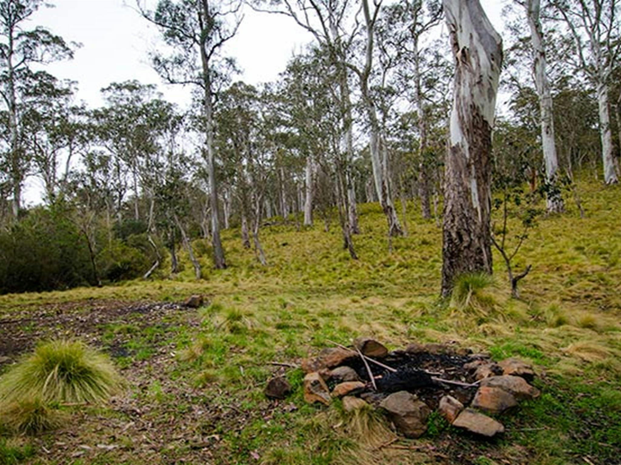 Campingplatz Gummi Falls, Naturschutzgebiet Barrington Tops. Foto: John Spencer/Regierung von New South Wales