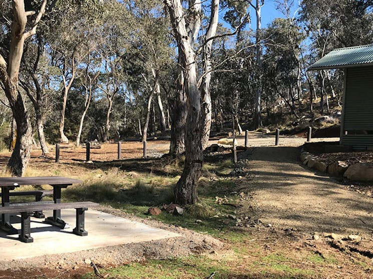 Picnic table and amenities surrounded by trees at Gummi Falls campground, Barrington Tops State