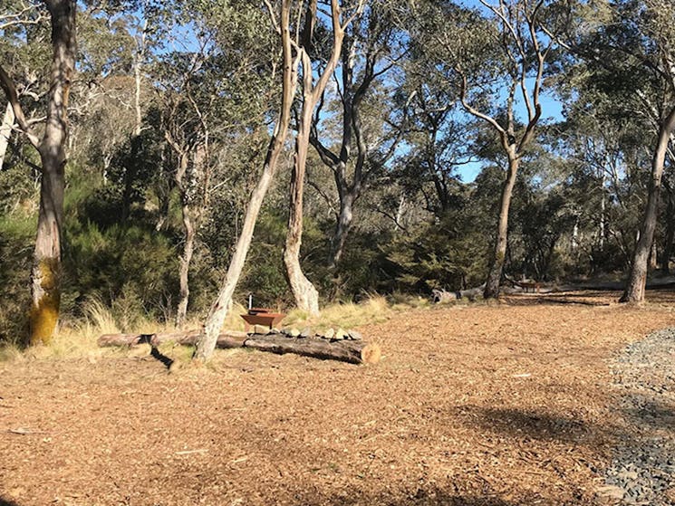 A clearing for a campsite with a small fire pit in Gummi Falls campground, Barrington Tops State
