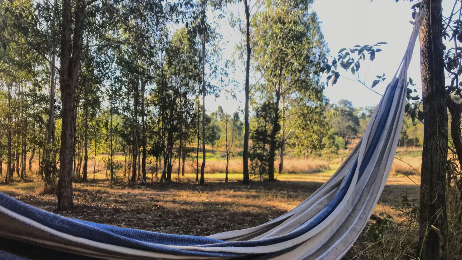 Gunalda Bush Camping