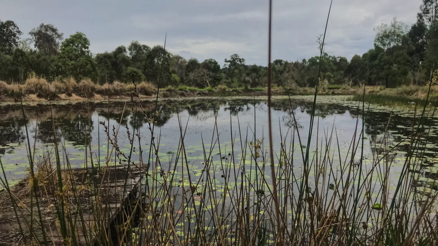 Gunalda Bush Camping