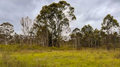 Gundungurra Rest