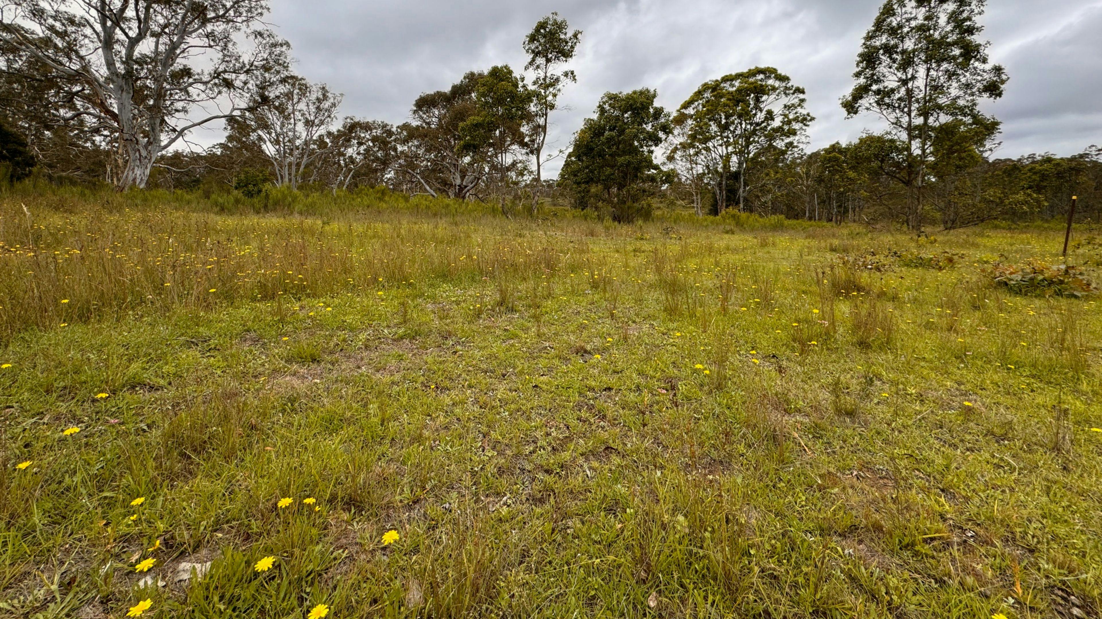 Gundungurra Rest