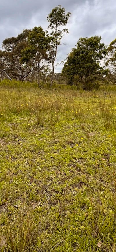 Gundungurra Rest