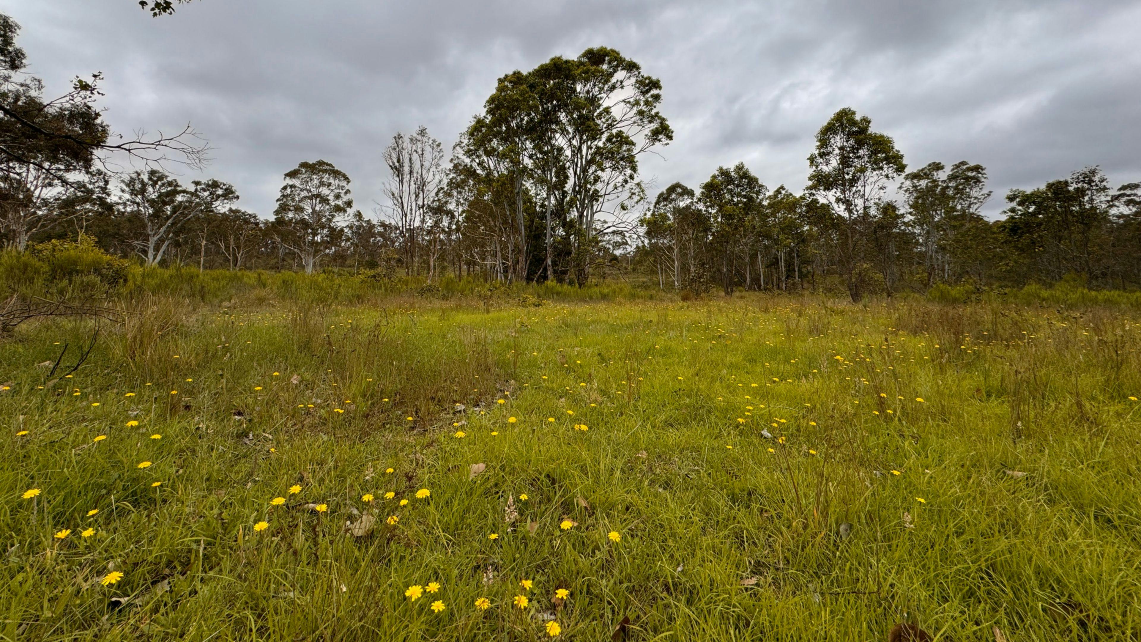 Gundungurra Rest