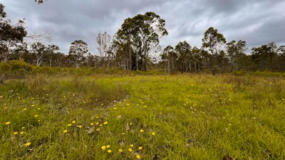 Gundungurra Rest