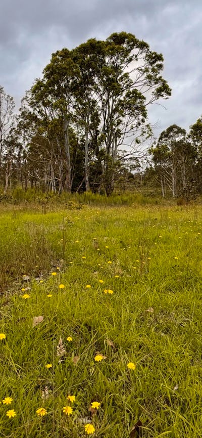 Gundungurra Rest