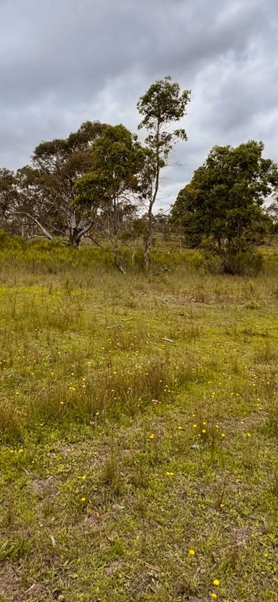 Gundungurra Rest