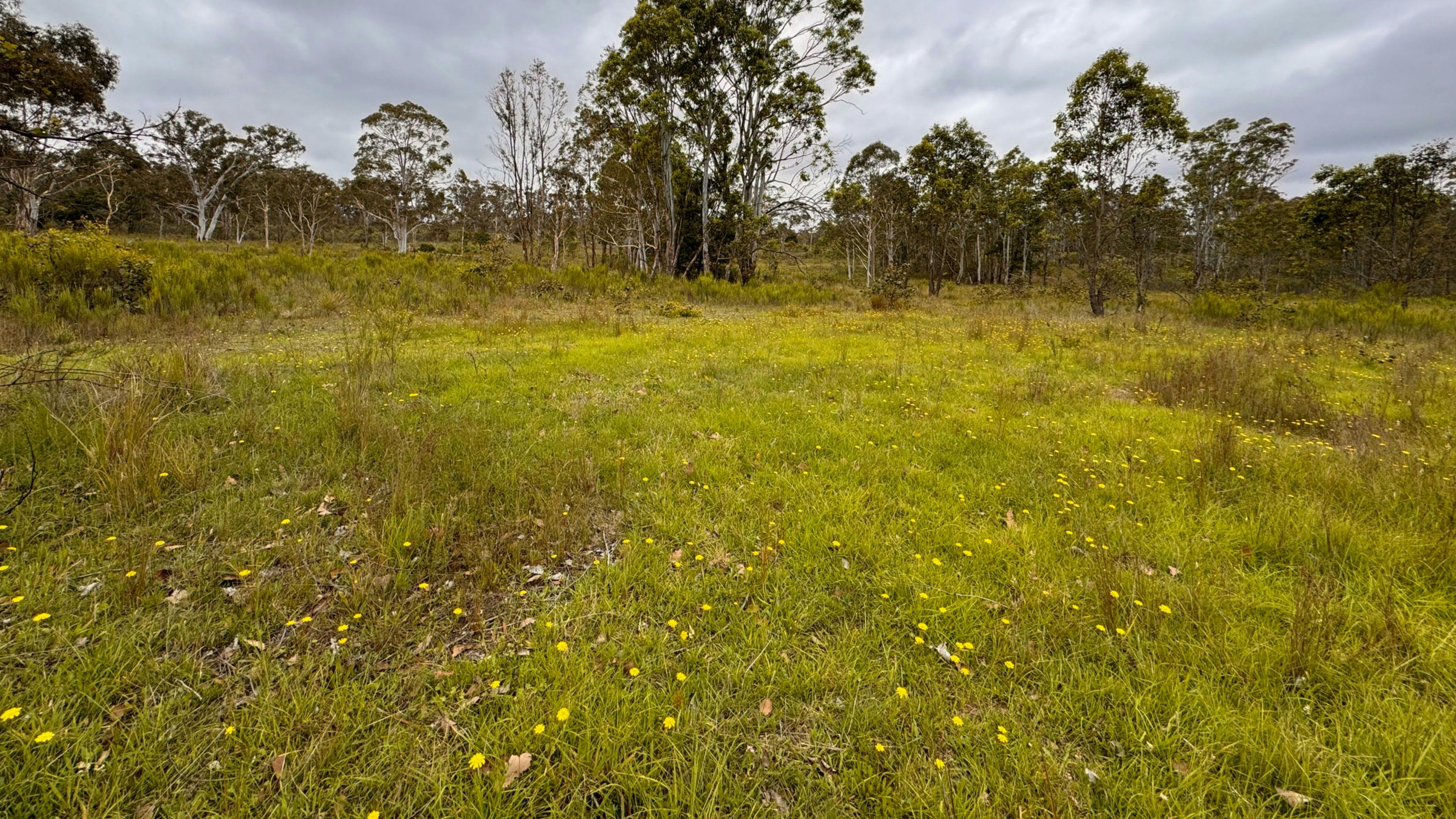 Gundungurra Rest