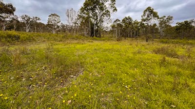 Gundungurra Rest