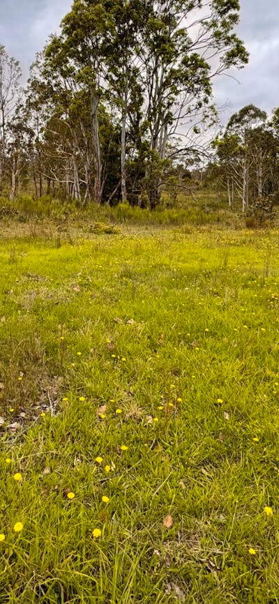 Gundungurra Rest