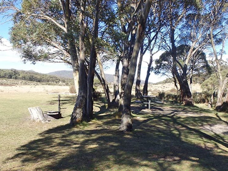 Picnic table and fire ring under trees at Gungarlin River campground, Kosciuszko National Park.