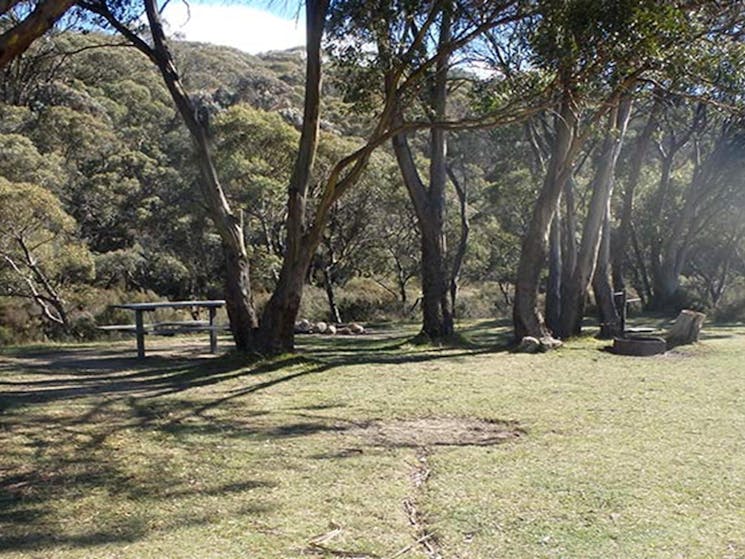 A flat, grassy campsite beside trees at Gungarlin River campground, Kosciuszko National Park. Photo: