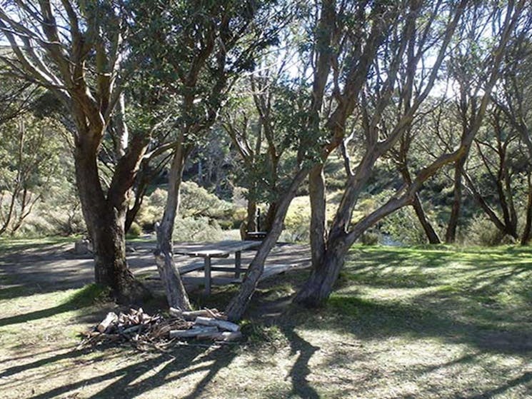 A shady unmarked campsite under trees at Gungarlin River campground, Kosciuszko National Park.