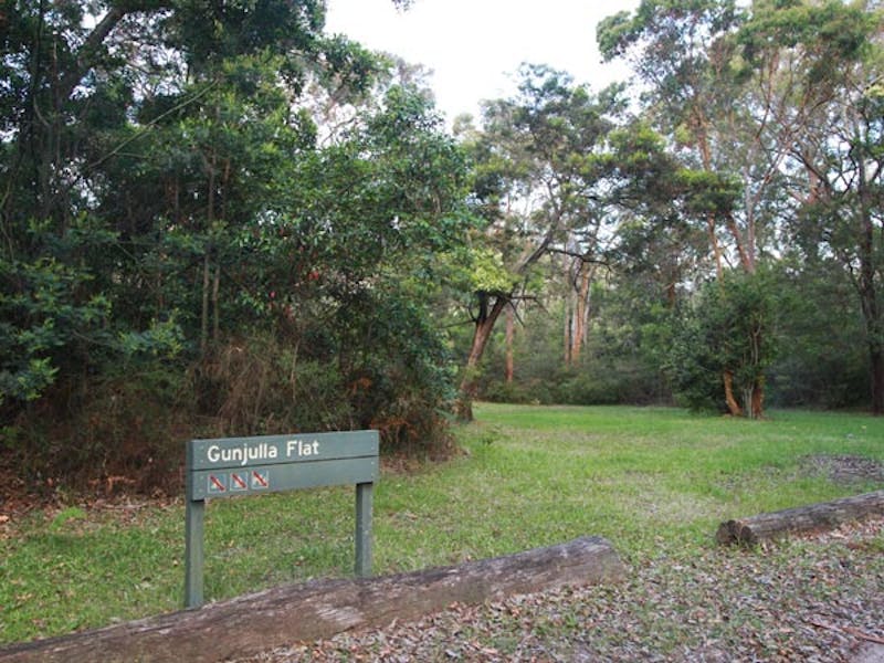 Gunjulla Flat picnic area, Royal National Park. Photo: Andrew Richards