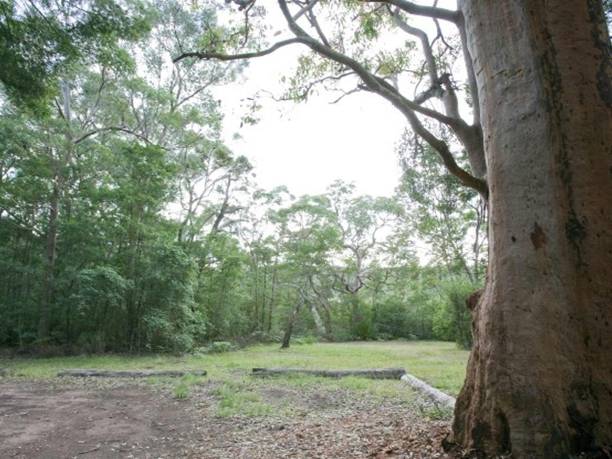 Parking with the picnic area in the background at Gunjulla Flat picnic area in Royal National Park.