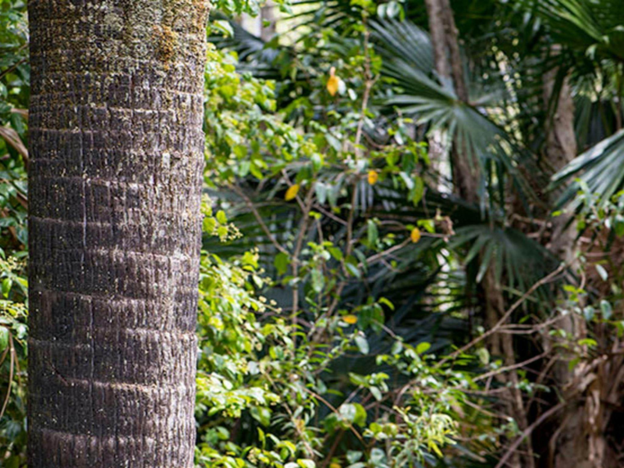 Gur-um-bee picnic area, Wallingat National Park. Photo: John Spencer