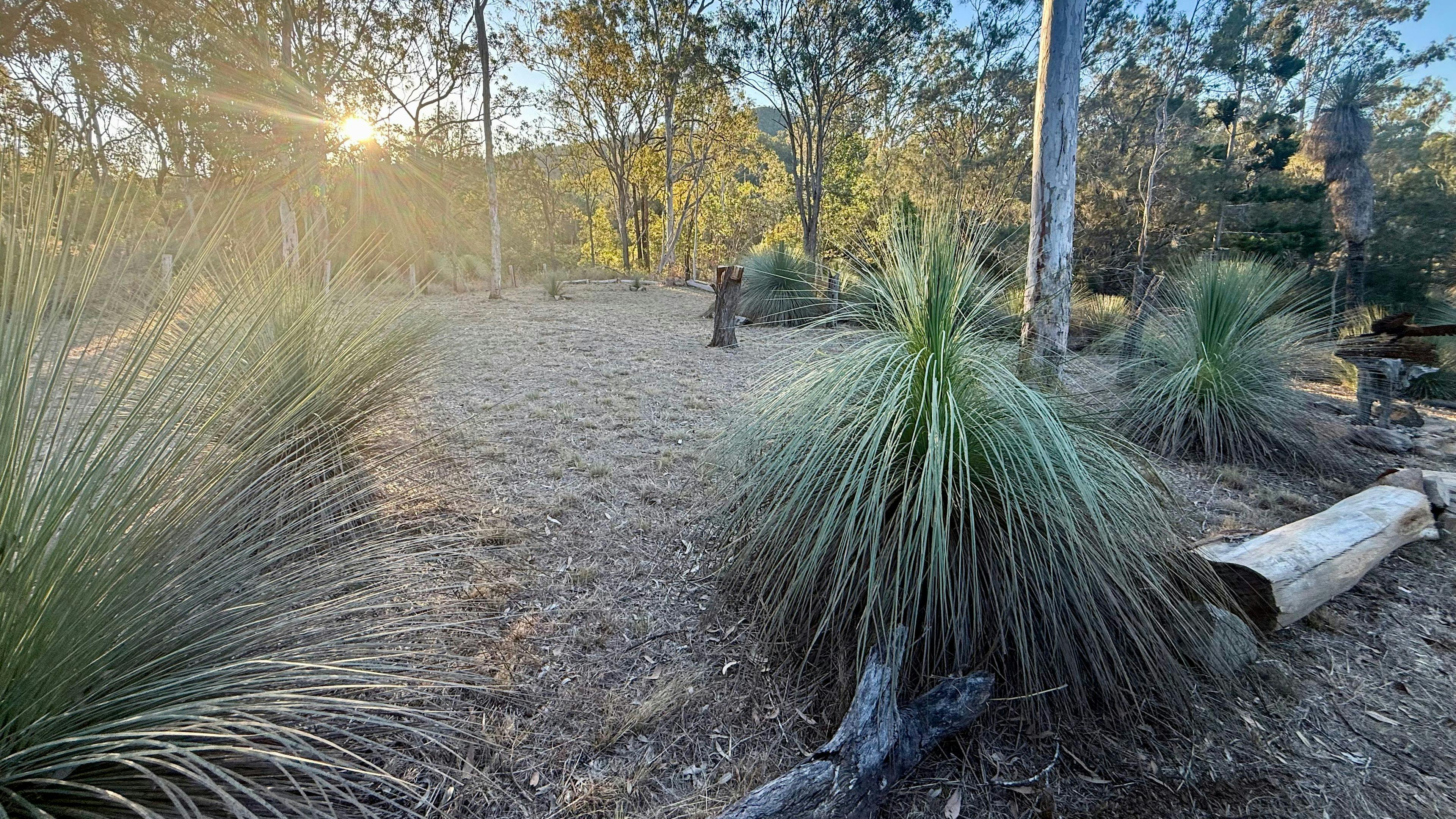 Grass Tree Camp