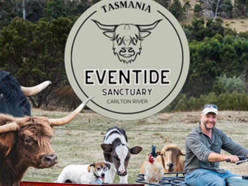 Eventide Sanctuary
