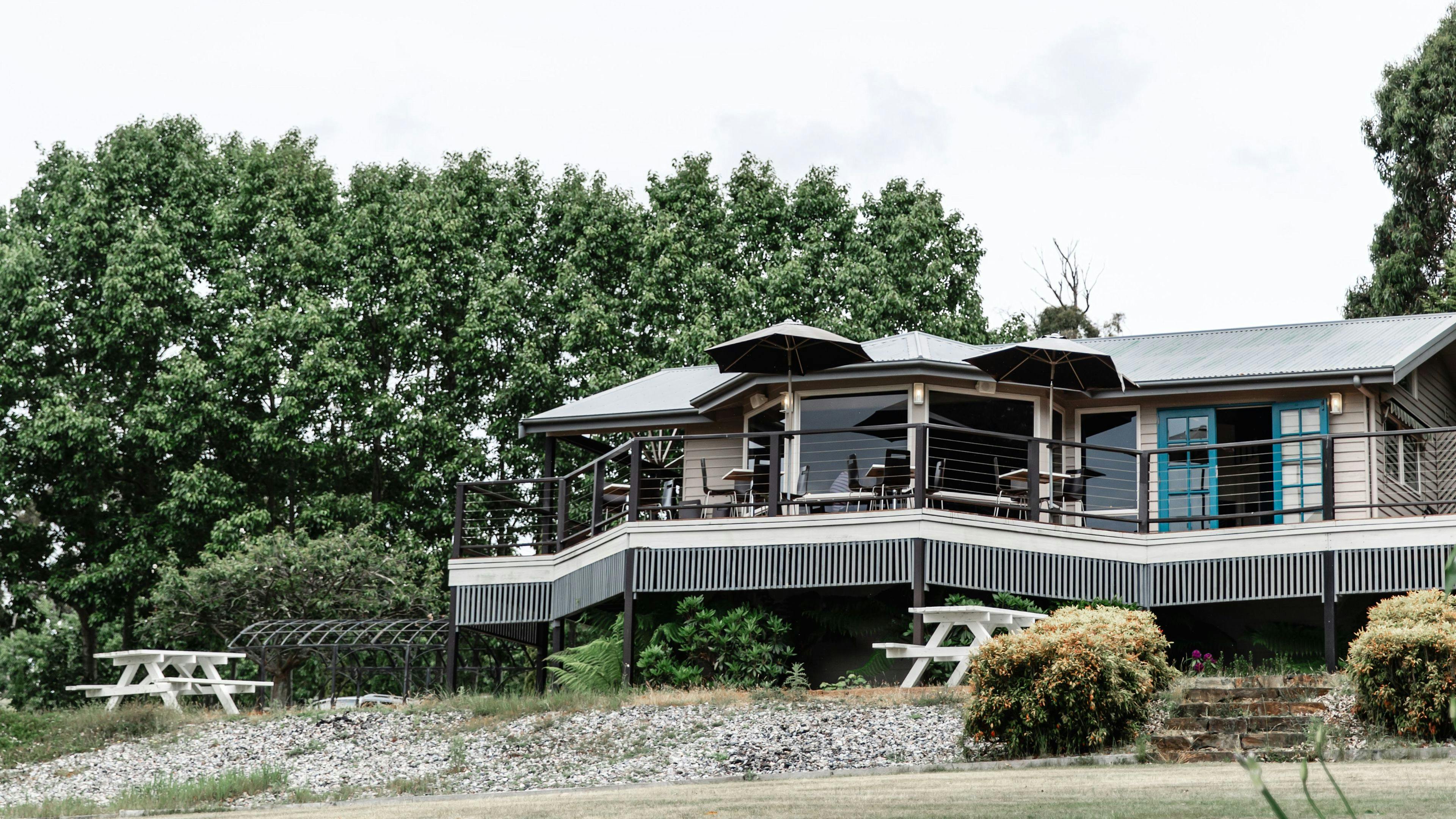House of Hargrave Vineyard