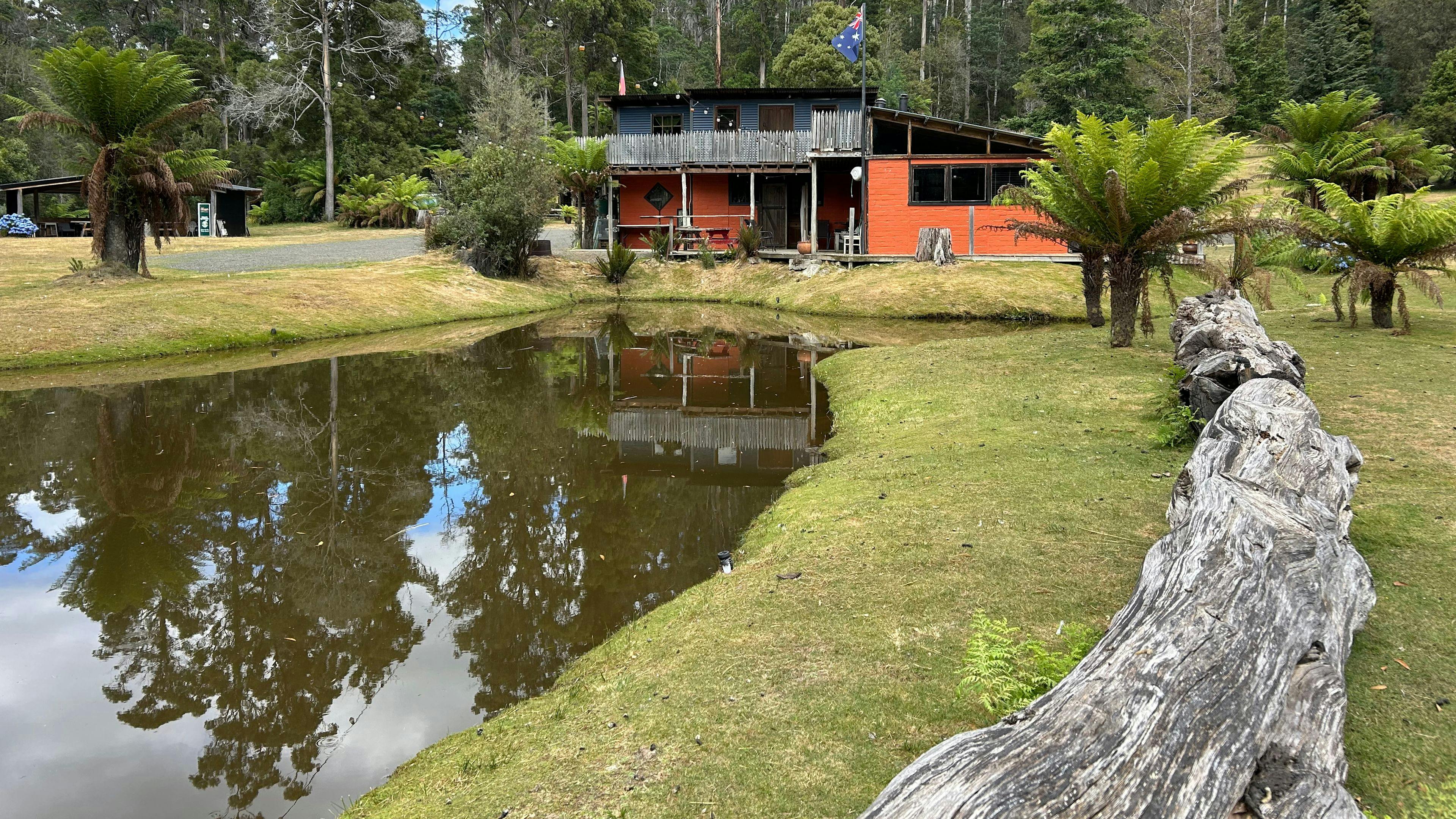 Petite Paradisio
