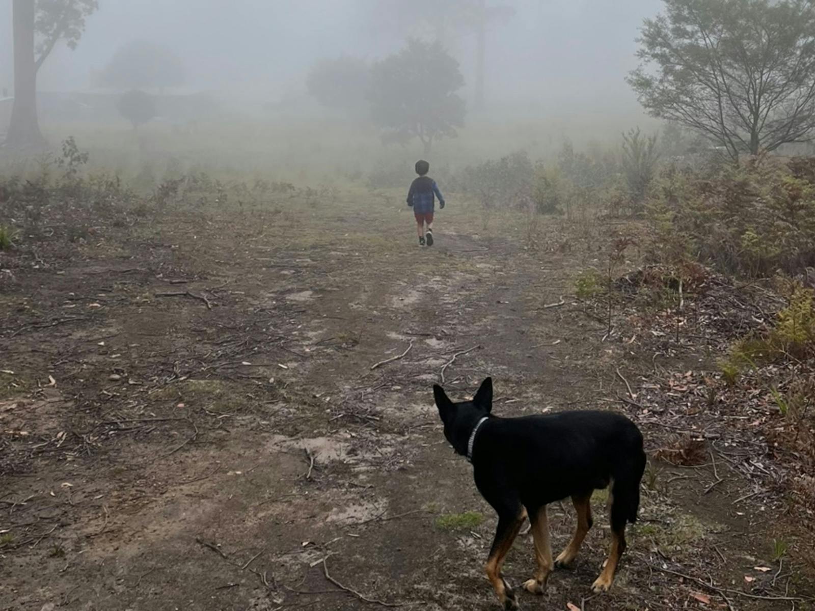 Misty Ridge