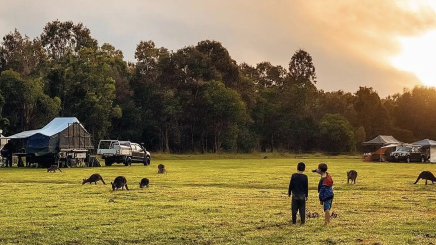 Habitat Noosa Everglades EcoCamp