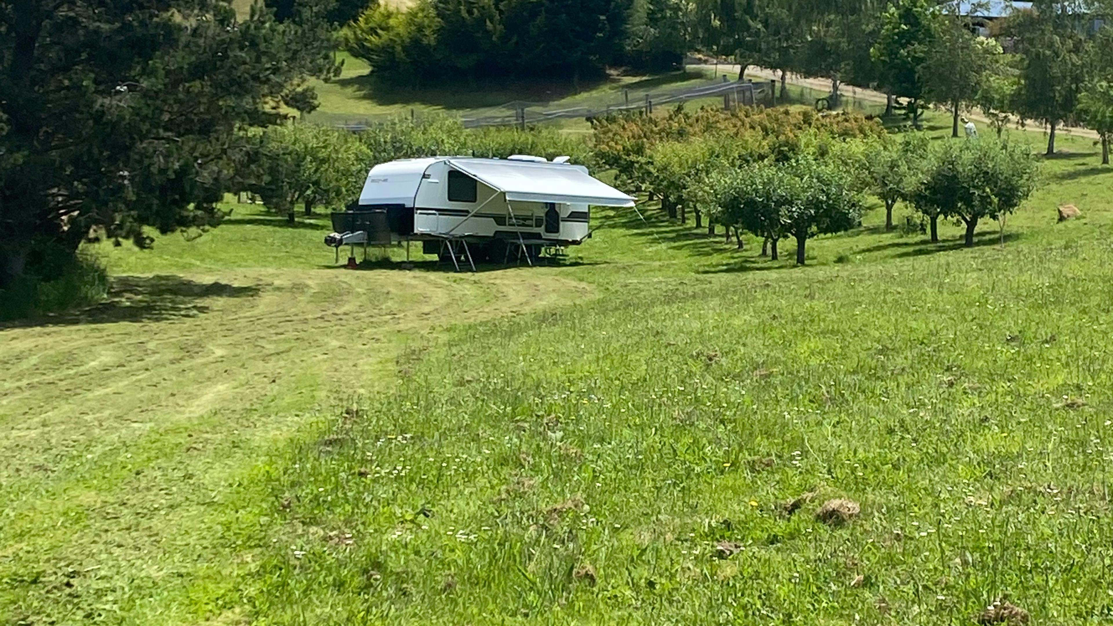 Sheltered orchard site amongst the apples and pears 