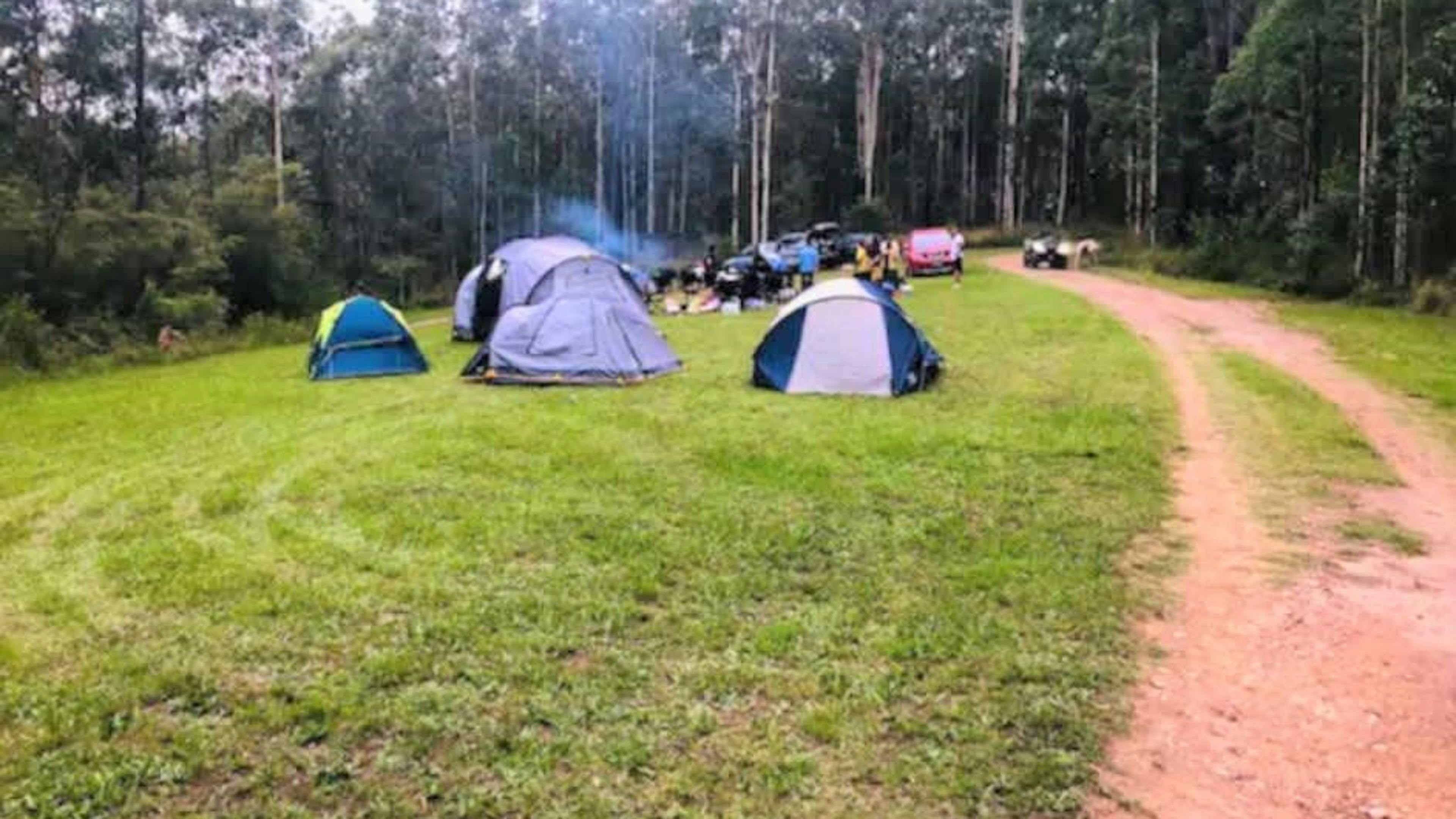 Hakuna Matata Resort, Booral