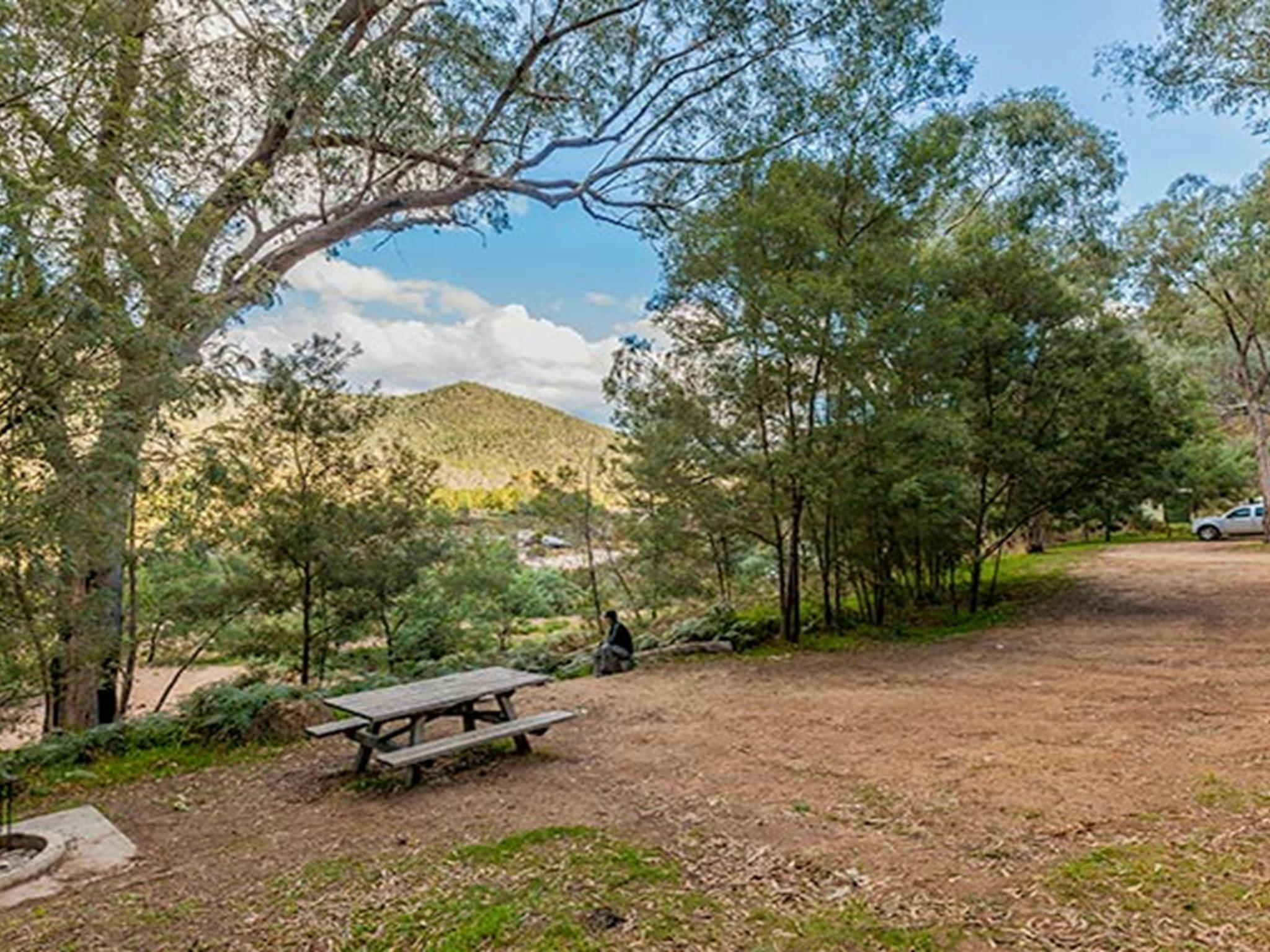 コジオスコ国立公園、ハーフウェイ・フラット・キャンプ場。写真：マレー・ヴァンダービア/DPIE